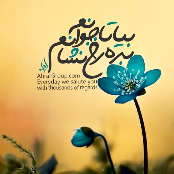 کاربر