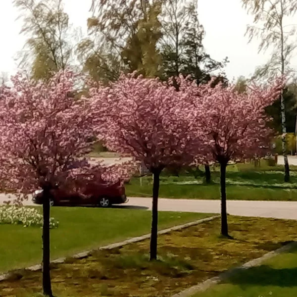 کاربر