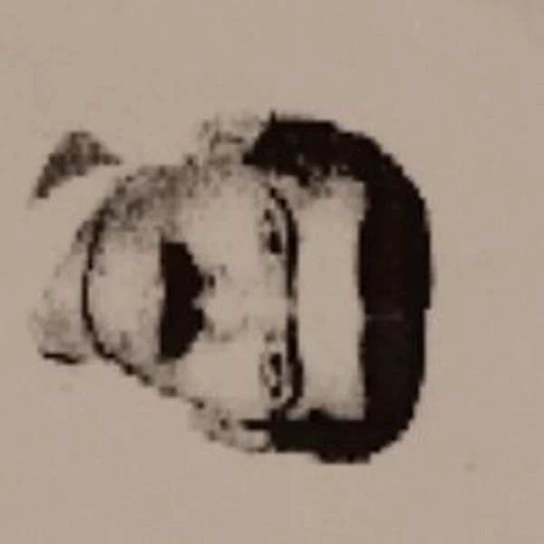 کاربر