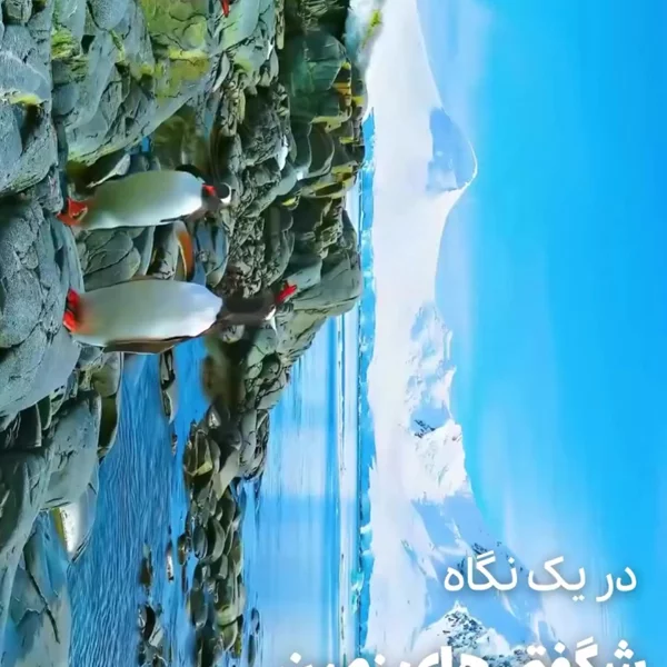 کاربر