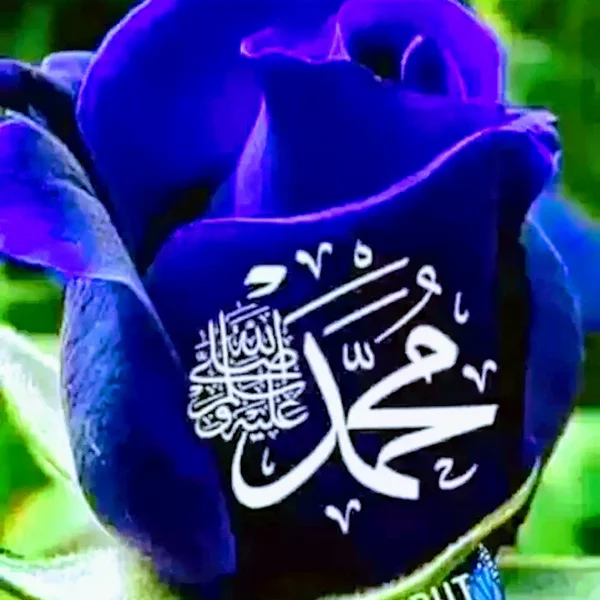 کاربر