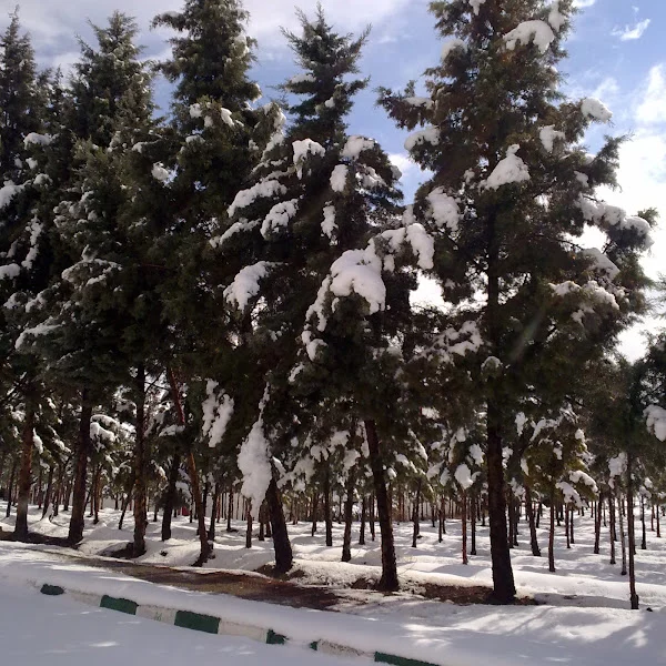 کاربر
