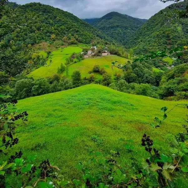 کاربر