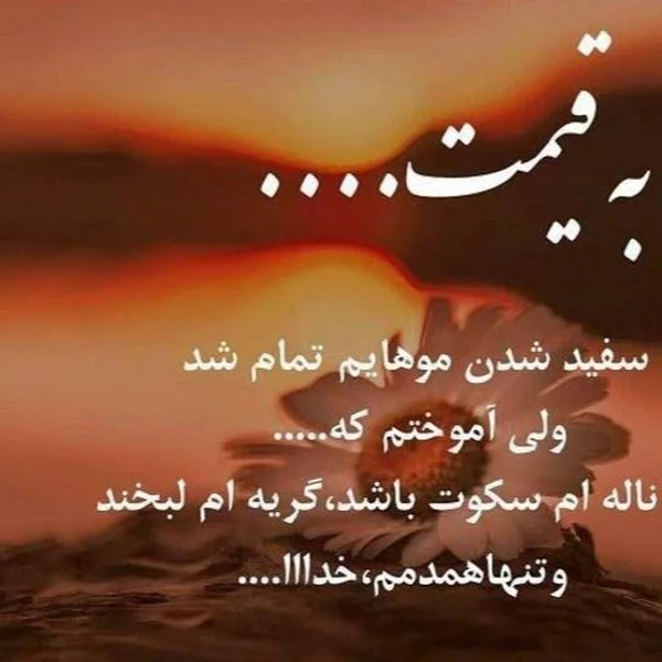 کاربر