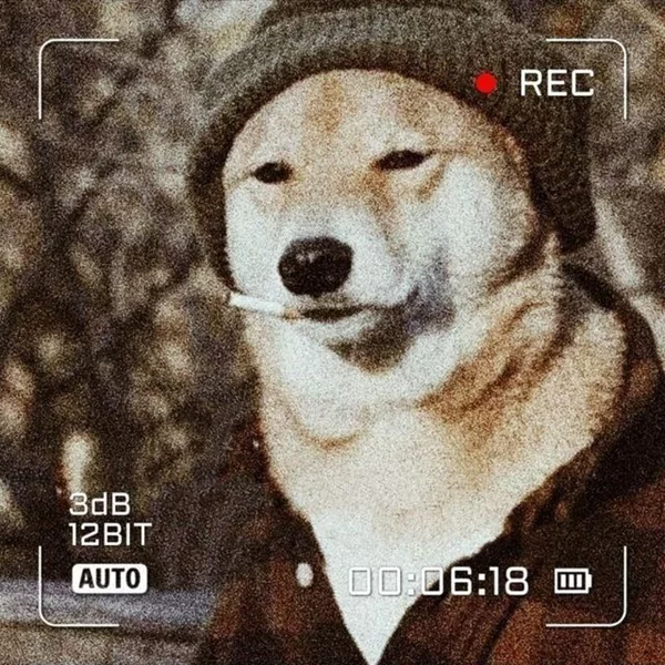 کاربر