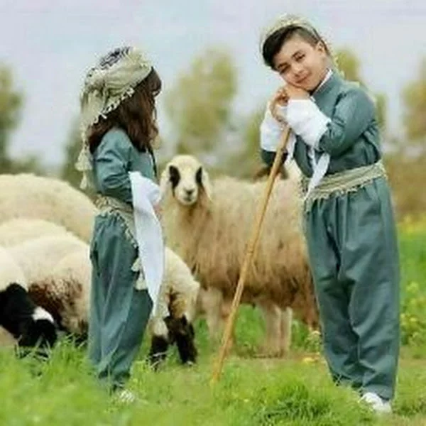 کاربر