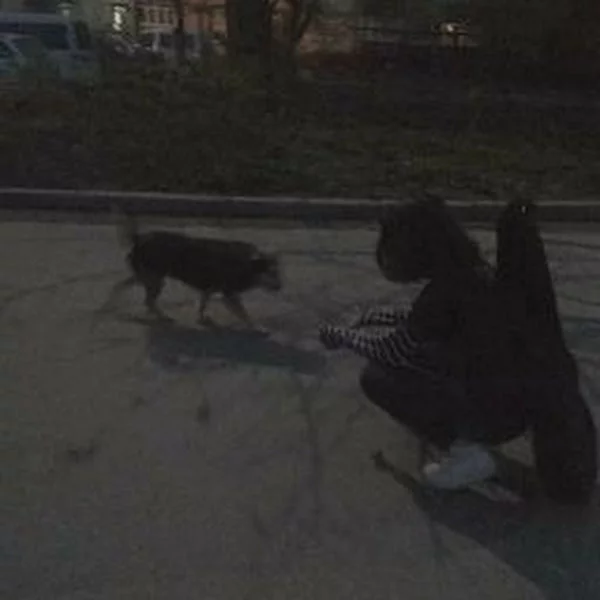 کاربر
