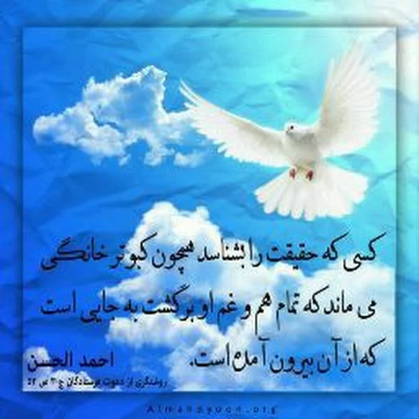 کاربر