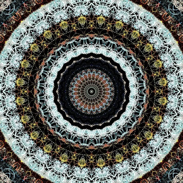 کاربر