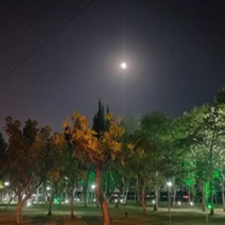 کاربر