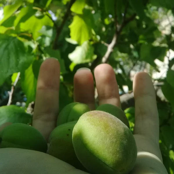 کاربر