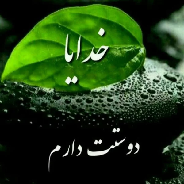 کاربر
