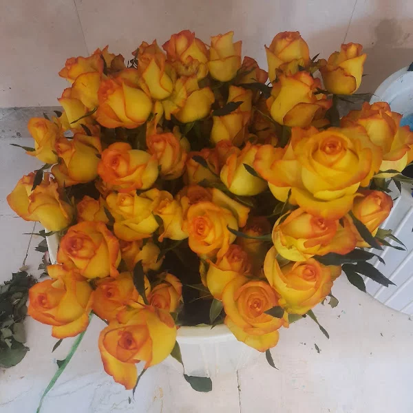 کاربر