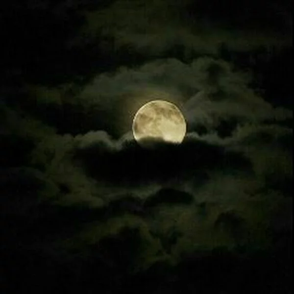 کاربر