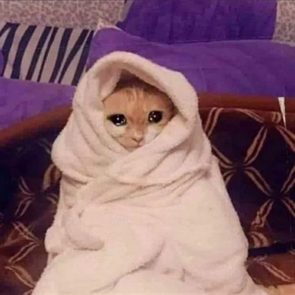 کاربر
