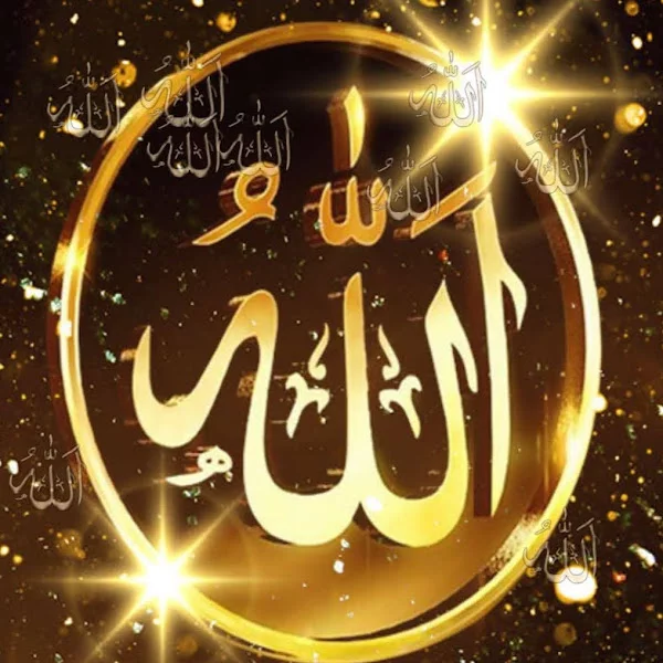 کاربر