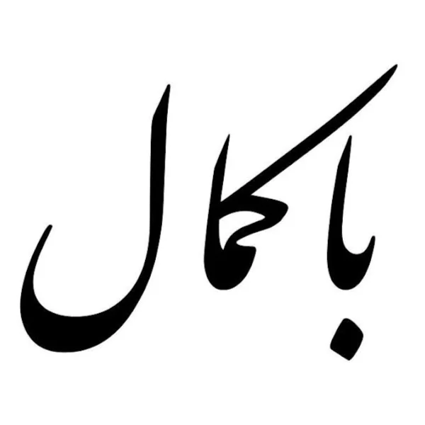 کاربر