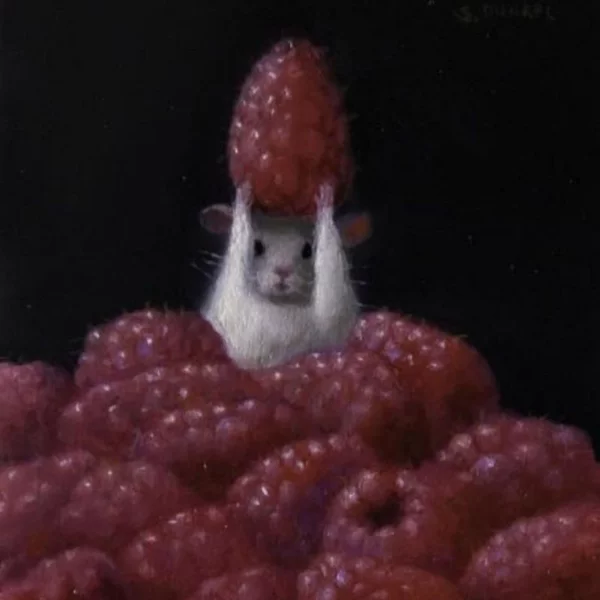 کاربر