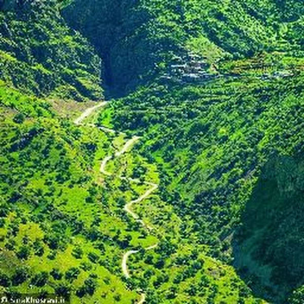 کاربر