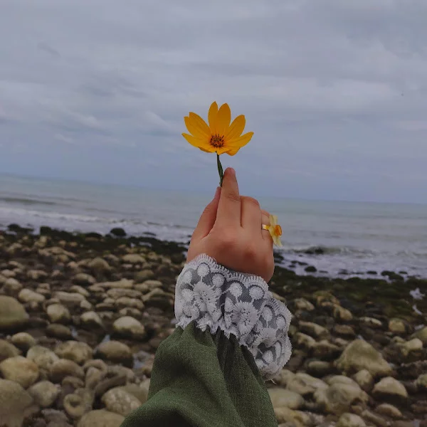 کاربر