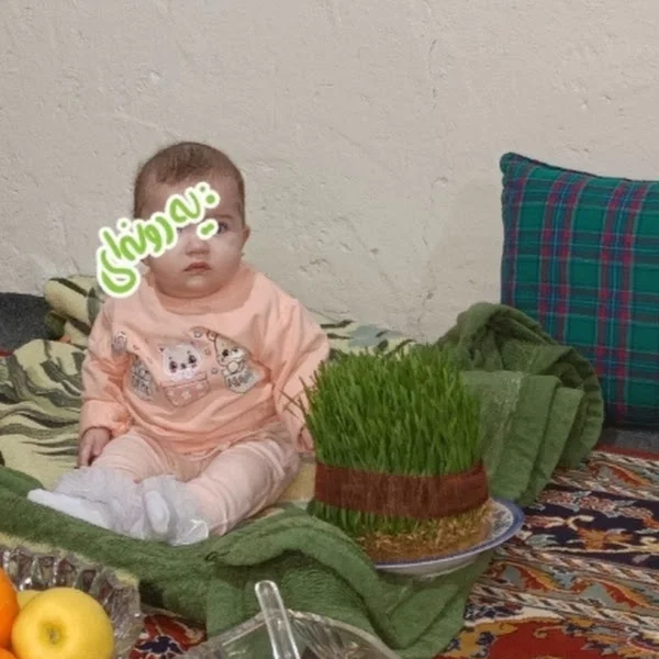 کاربر