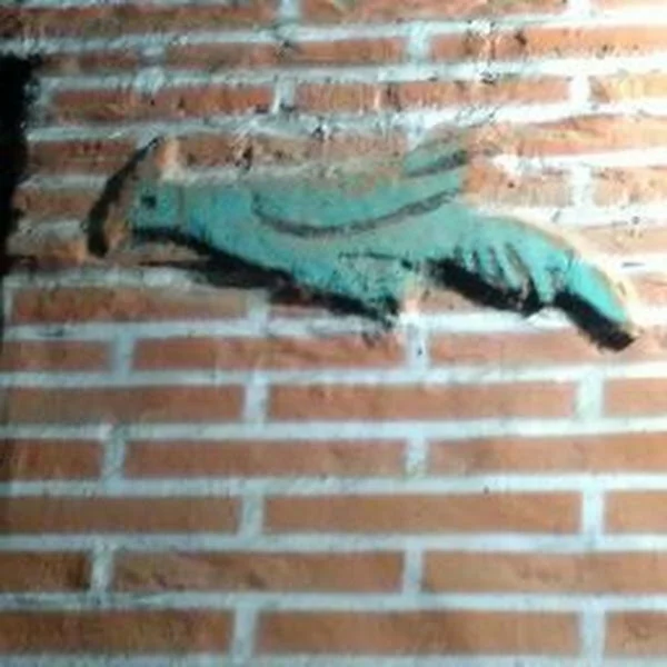 کاربر