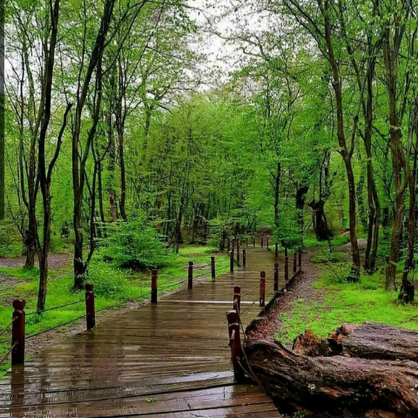 کاربر