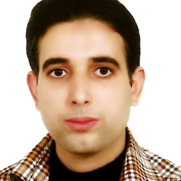 Komail Alemzadeh Ansari