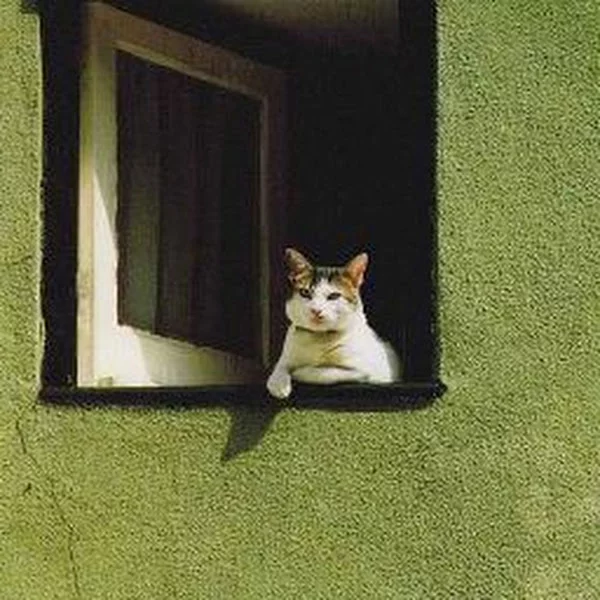 کاربر