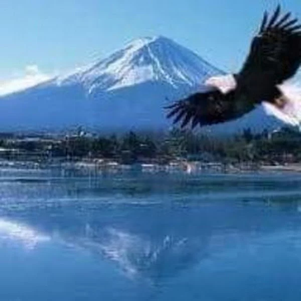 کاربر