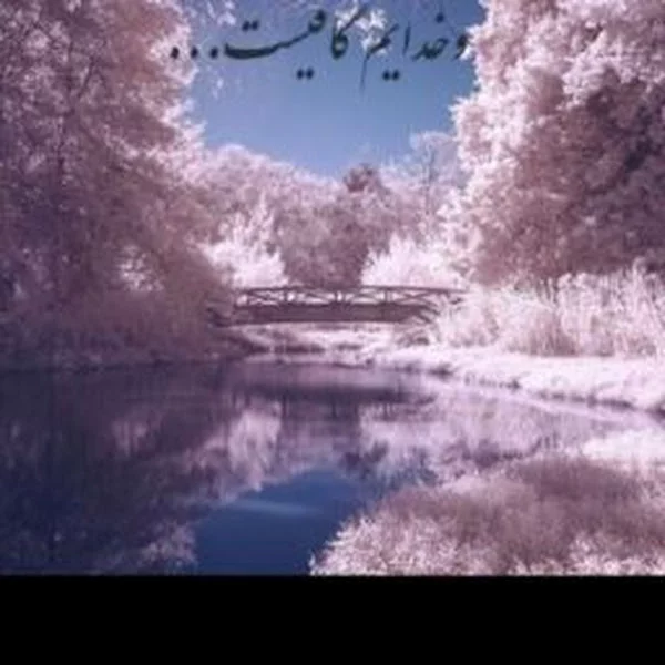 کاربر