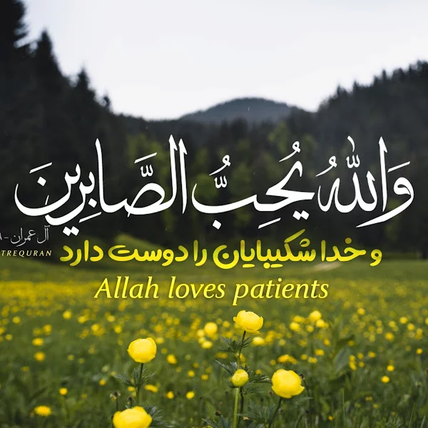 کاربر