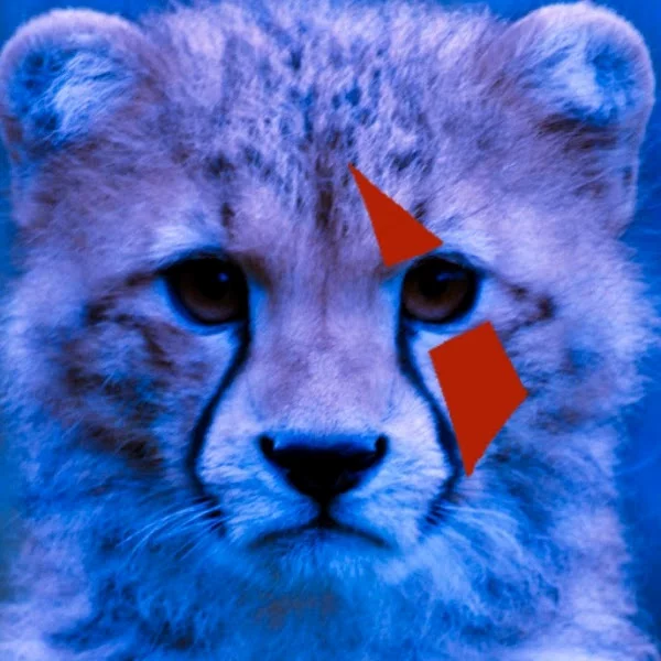 کاربر