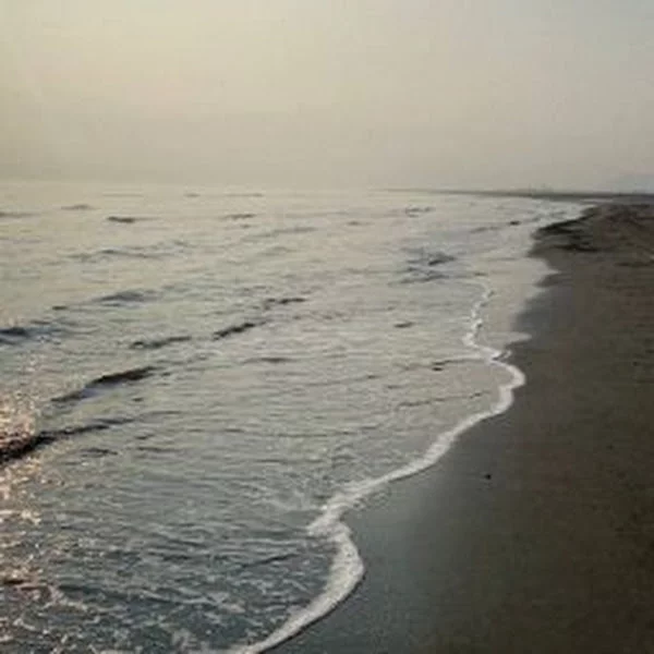کاربر