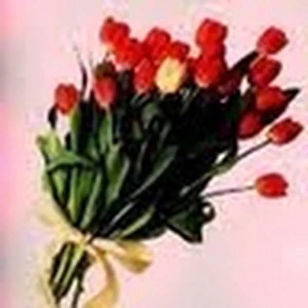 کاربر