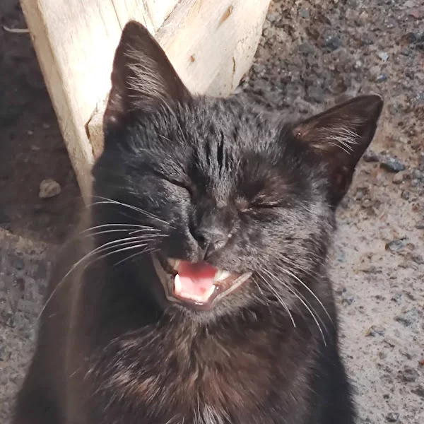 کاربر