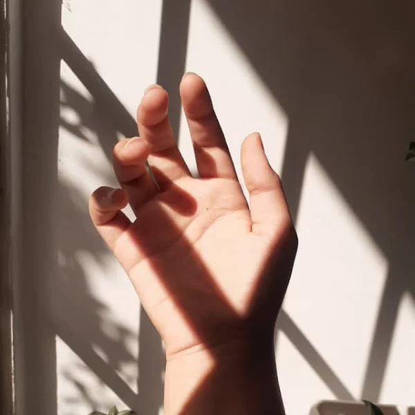 کاربر