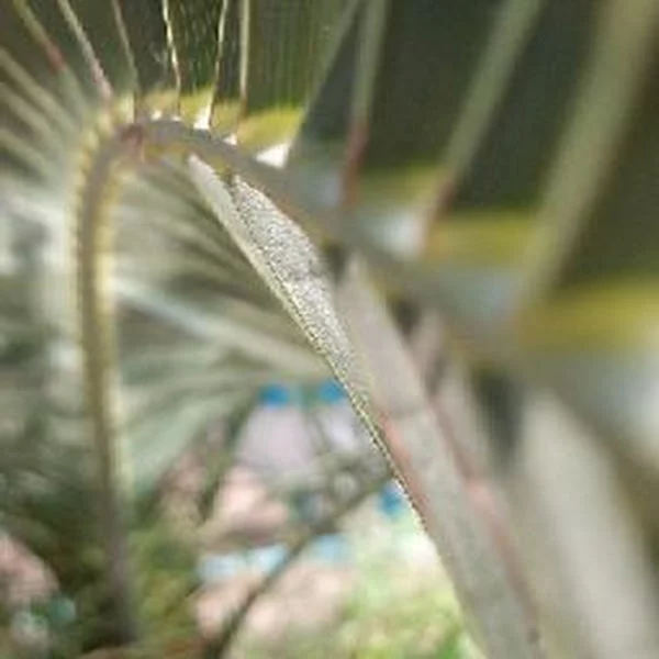 کاربر