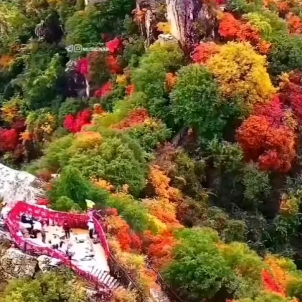 کاربر