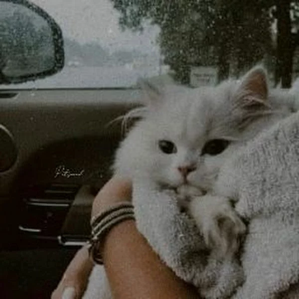 کاربر