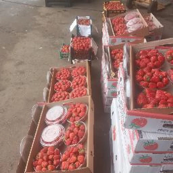کاربر