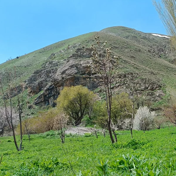 کاربر