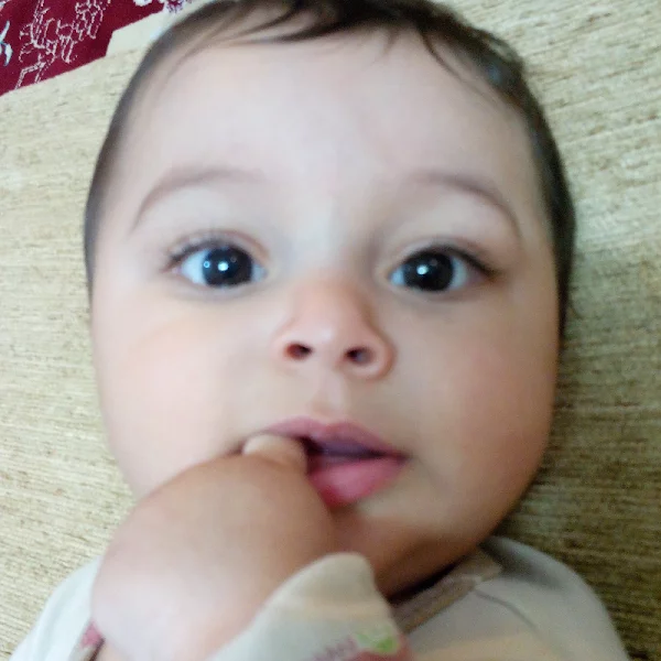 کاربر