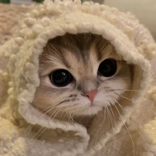 کاربر