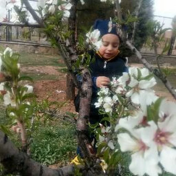 کاربر