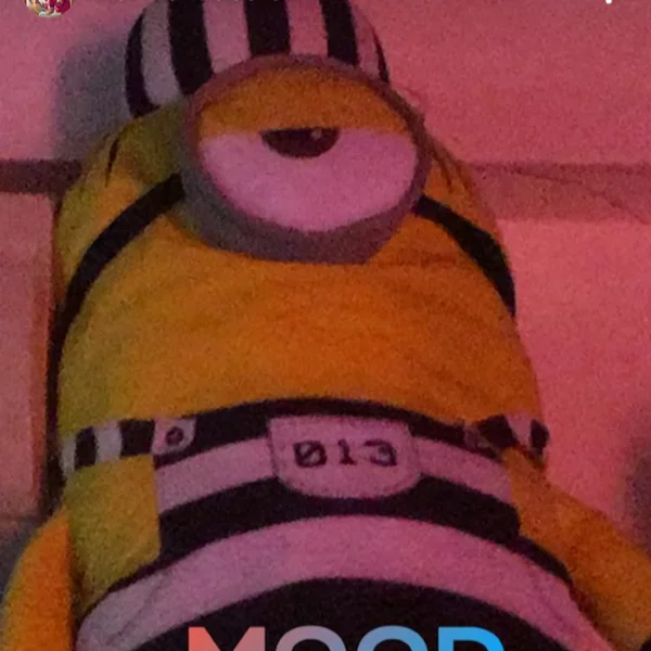 کاربر