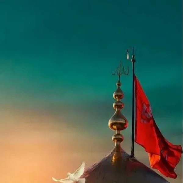 کاربر