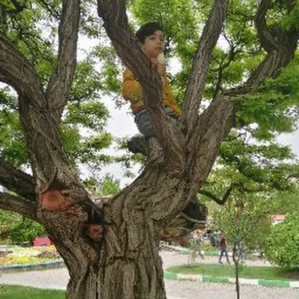 کاربر