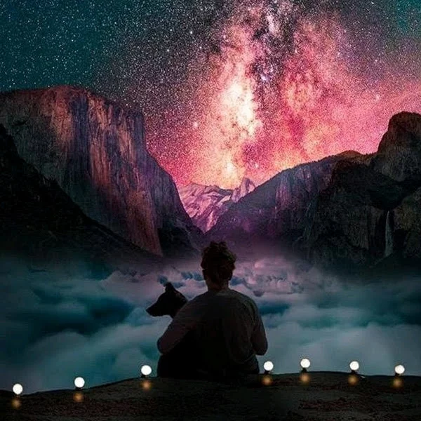 کاربر