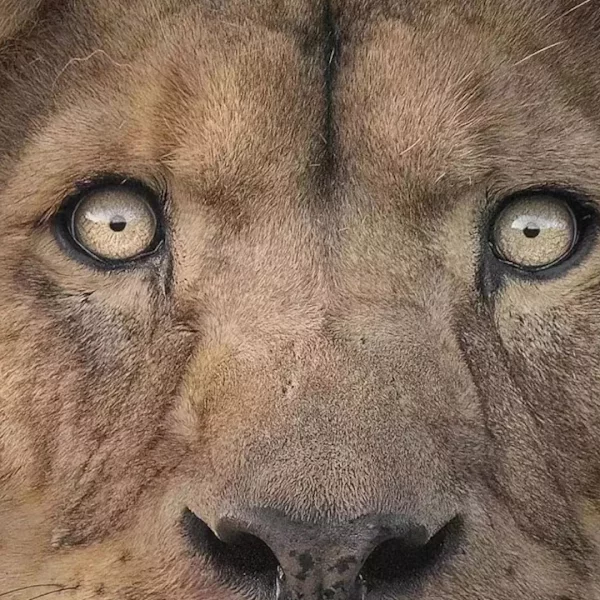 کاربر